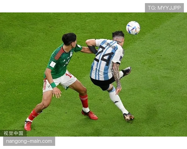 恩佐·费尔南德斯家的冰箱里只放蛋白粉和冰块