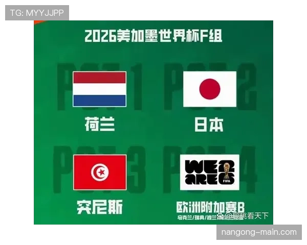 2026世界杯F组球队表现排名:荷兰居首突尼斯垫底
